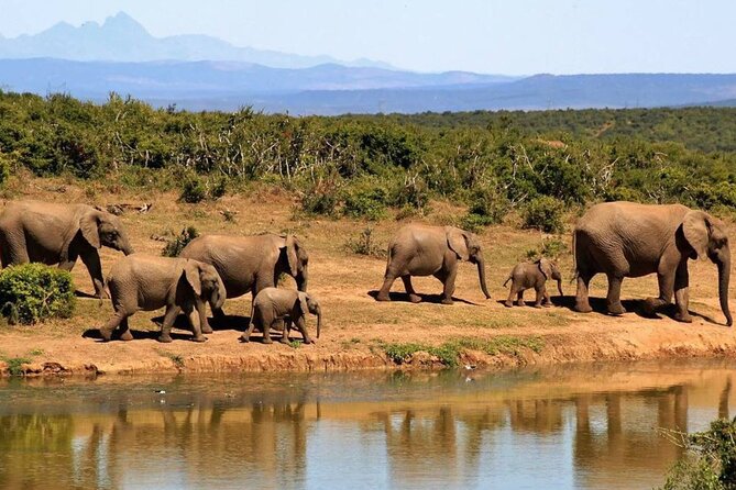 Full Day Isimangaliso Wetlands Park Tour From Durban - Pricing and Group Size