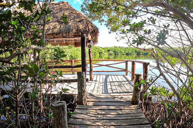 Full-Day Isla Contoy Sailing Nature Experience in Mujeres - Tour Details