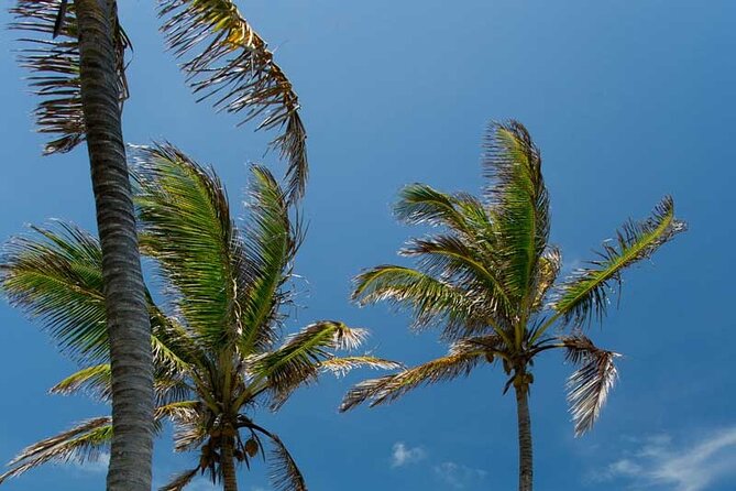 Full-Day Isla Contoy Sailing Nature Experience in Mujeres - Directions