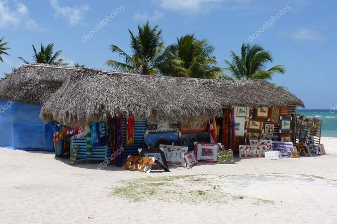 Full Day Isla Saona Tour and Snorkel in Natural Pool Mangroves From Uvero Alto - Duration and Activities