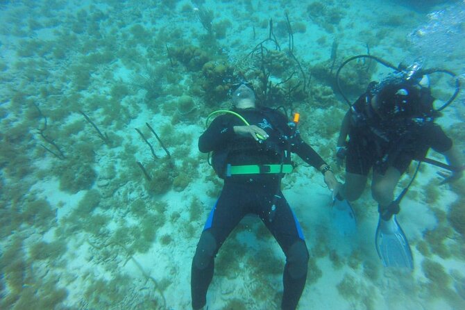 Full Day Island Catalina Tours - Punta Cana - Booking Information