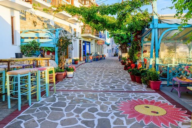 Full Day Island Tour Discover Samos - Reviews