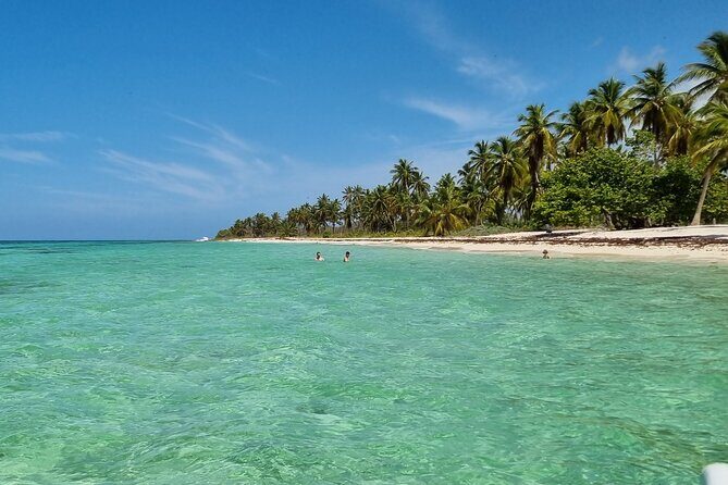 Full Day Island Tour in Isla Saona from Punta Cana - The Value and Overall Experience