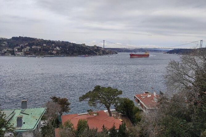 Full Day Istanbul Bosphorus Cruise and Dolmabahce Palace Tour With Private Guide - Cancellation Policy