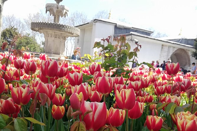 Full-Day Istanbul Highlights Tour - Blue Mosque: A Symbol of Istanbul