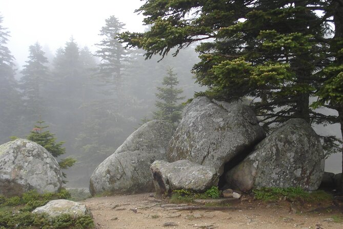 Full-Day Istanbul to Bursa Excursion With Cable Car - Inclusions and Exclusions