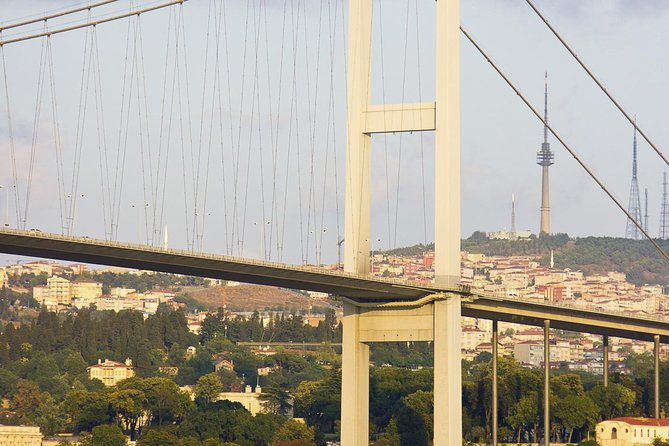 Full-Day Istanbul Tour With Bosphorus Sightseeing Cruise - Alternative Attraction