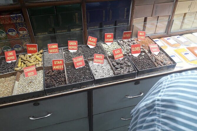 Full Day Jaipur City Tour - The Itinerary: What to Expect on Your Day in Jaipur