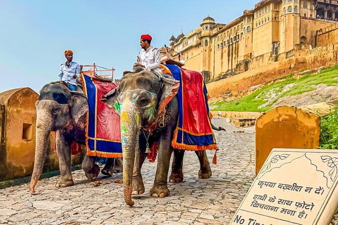 Full-Day Jaipur Highlights with Local Guide & Private Vehicle - Who is This Tour Best For?