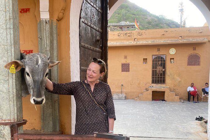 Full-Day Jaipur Sightseeing Private Tour - All Inclusive - The Sum Up: Why Choose This Tour?