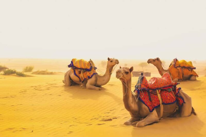 Full-Day Jaisalmer City Tour - Fort, Havelis & Desert Charm - Good To Know