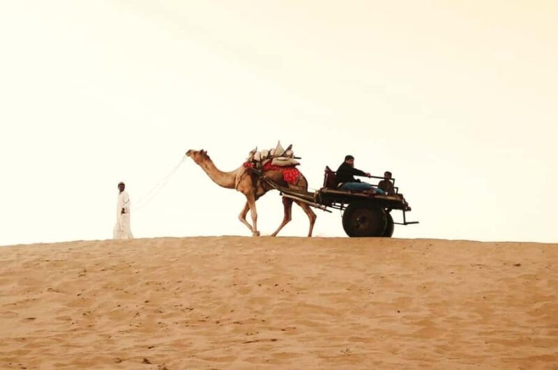 Full-Day Jaisalmer City Tour - Fort, Havelis & Desert Charm - Final Thoughts: Is It Worth It?