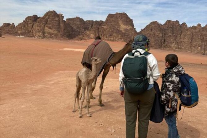 Full Day Jeep Tour + All Meals & Overnight Bedouin Camp - Inclusions and Options