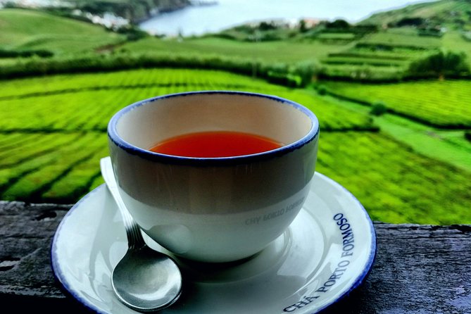 Full Day Jeep Tour Furnas With Lunch (Cozido) and Drinks Included - The Sum Up