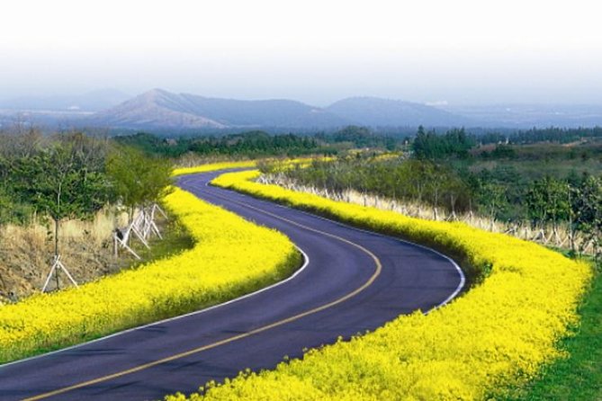 Full Day Jeju Island Private Tour for East Course With Korean Black Pork BBQ - Itinerary Overview