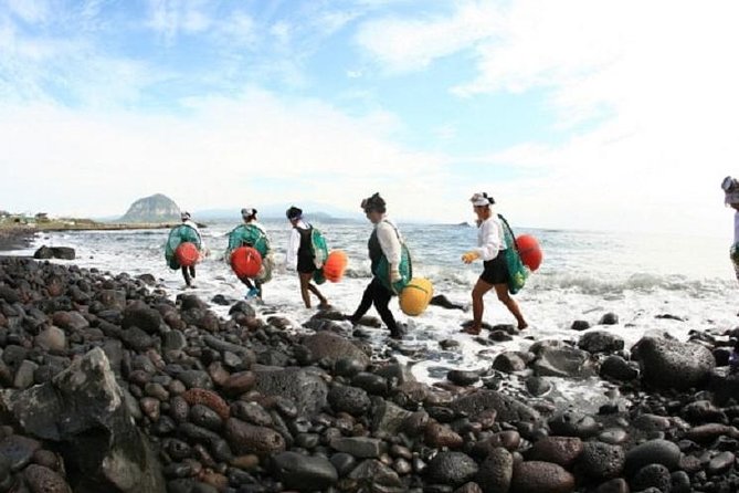 Full Day Jeju Island Private Tour for East Course With Korean Black Pork BBQ - East Course Tour Destinations