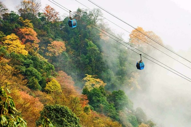 Full Day Jinfo Mountain Tour - Tour Itinerary