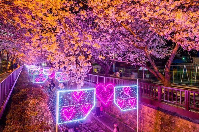 Full-Day Jinhae Cherry Blossom Festival Private Tour - Pricing and Booking