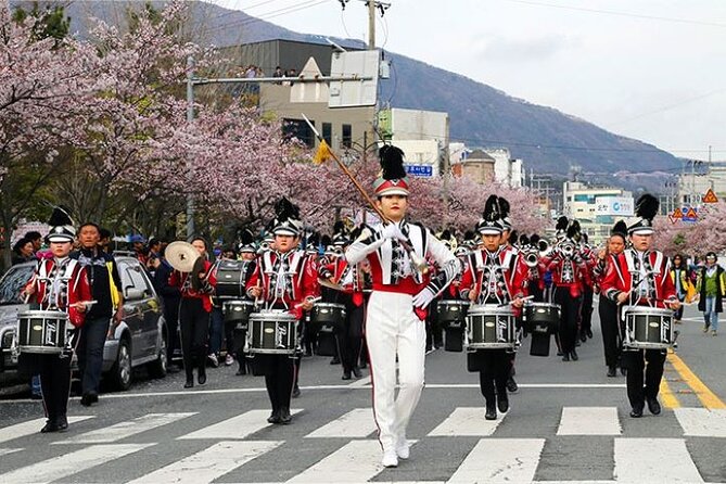 Full-Day Jinhae Cherry Blossom Festival Private Tour - Highlights