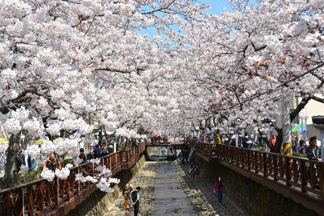 Full-Day Jinhae Cherry Blossom Festival Private Tour - Tips and Recommendations