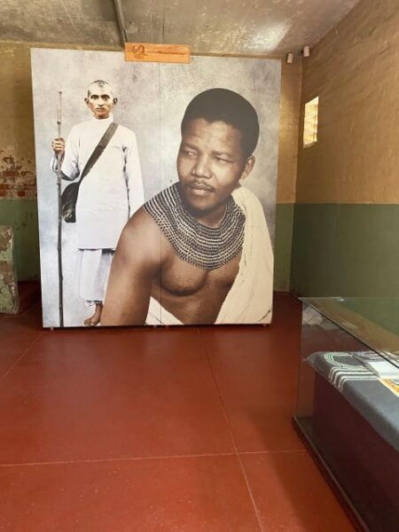 Full Day Johannesburg and Soweto Tour - Customer Reviews