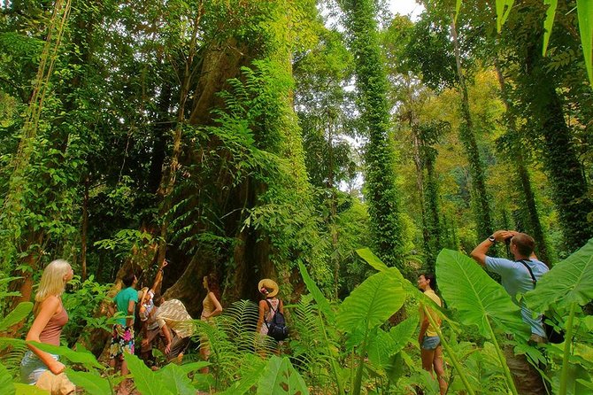 Full-Day Jungle Tour Including Tiger Cave Temple, Crystal Pool and Krabi Hot Springs - Negative Experiences and Disappointments