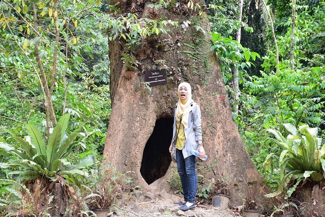 Full-Day Jungle Tour Including Tiger Cave Temple, Crystal Pool and Krabi Hot Springs - Impressive Emerald Pool and Hot Springs