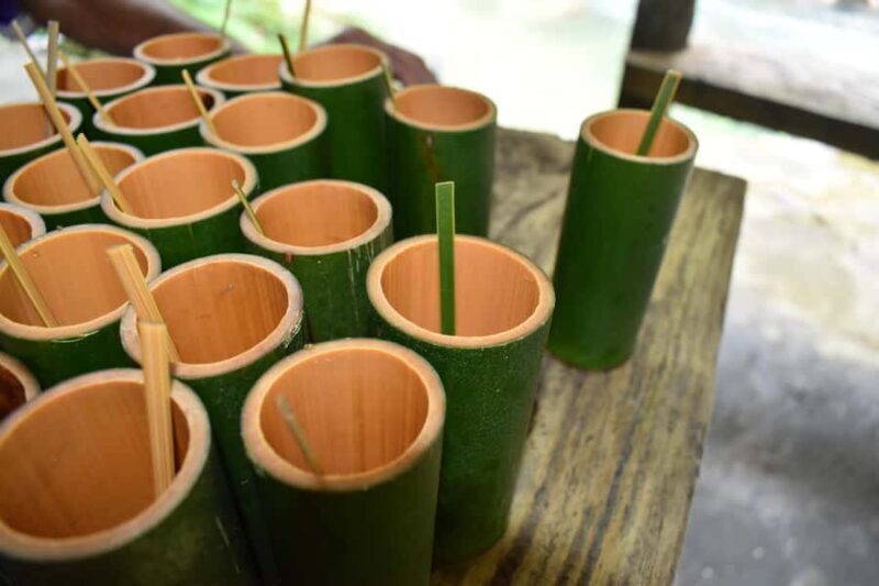 Full day Jungle trekking with Tubing adventure - Good To Know