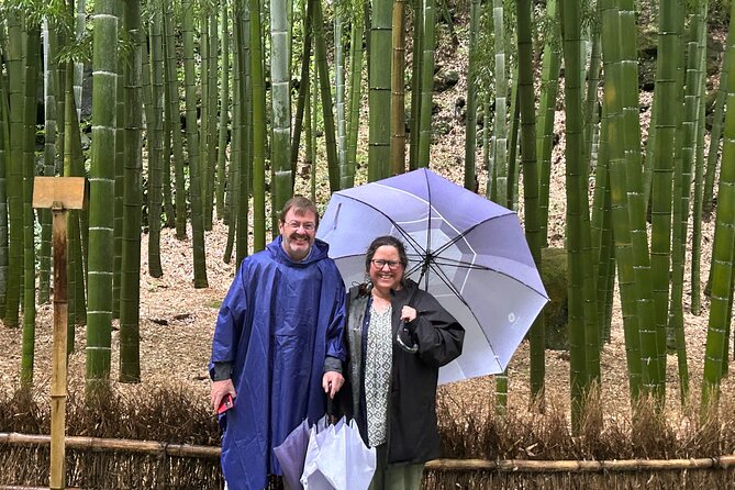 Full Day Kamakura& Enoshima Tour To-And-From Tokyo up to 12 - Private Vehicle Transportation