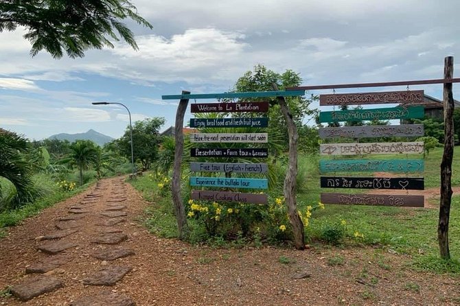 Full-Day Kampot & Kep With a Local Tuk Tuk Tours - What To Expect