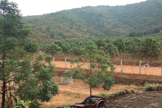 Full-Day Kampot & Kep With a Local Tuk Tuk Tours - Cancellation Policy Details