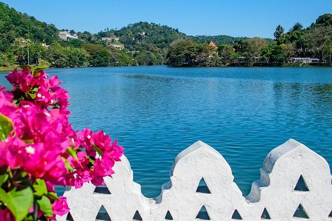 Full Day Kandy Walking Tour With TUK Tuk Ride to Peradeniya Gardens - Highlights