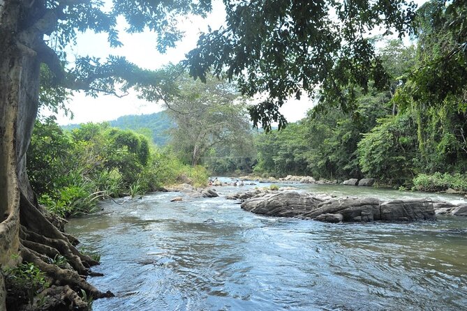 Full Day Kandy Walking Tour With TUK Tuk Ride to Peradeniya Gardens - Tips for the Tour