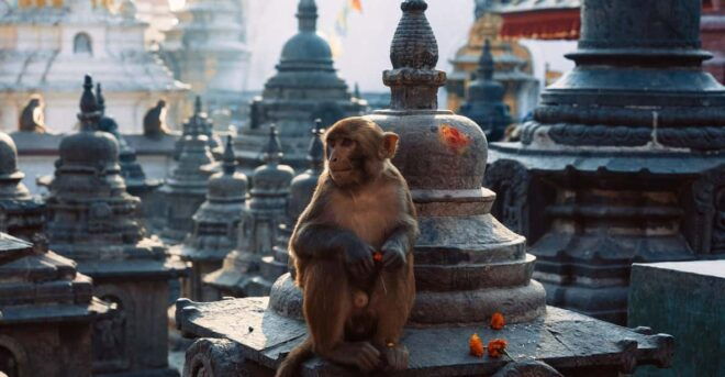 Full Day Kathmandu Sightseeing Tour (UNESCO) - UNESCO World Heritage Sites