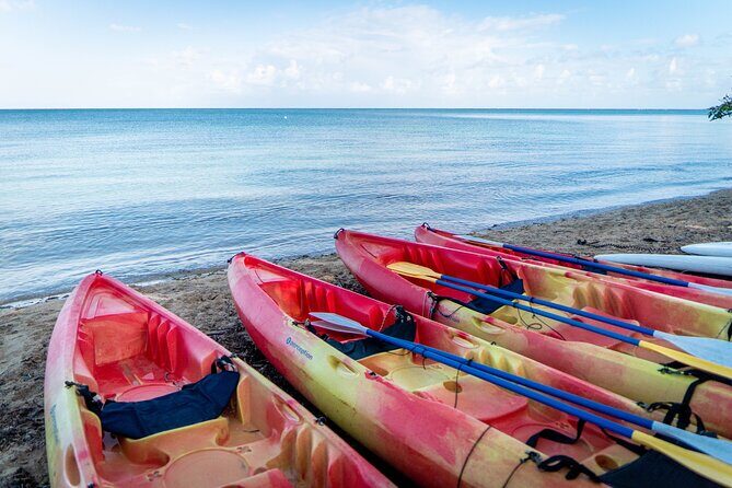 Full-Day Kayak Adventure  Explore Fajardos Crystal-Clear Waters - Why You’ll Love the Kayak Adventure