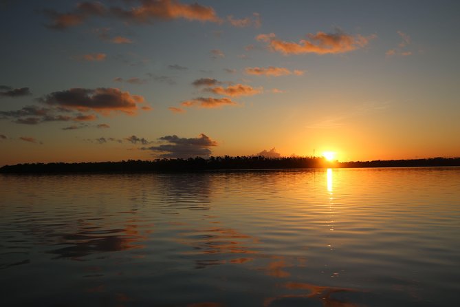 Full-Day Kayak Adventure in the Everglades - Additional Information and Assistance