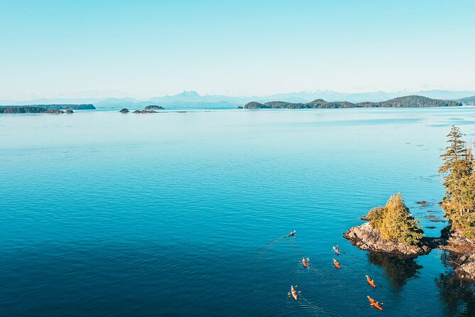 Full Day Kayaking Adventure on Vancouver Island - Tour Highlights