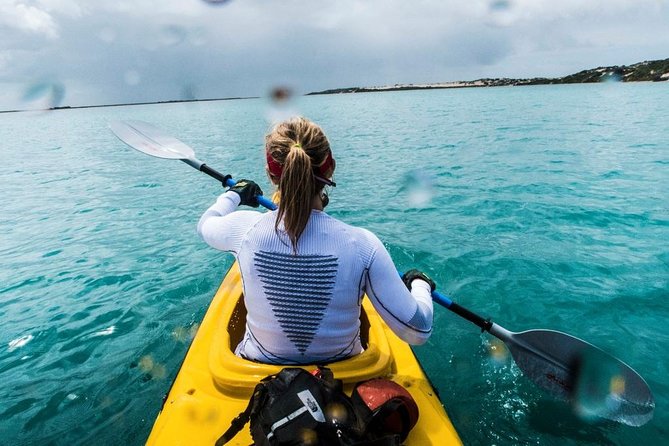 Full Day Kayaking Tour in Coorong National Park - Overview of Coorong National Park