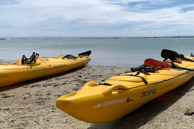 Full Day Kayaking Tour in Coorong National Park - Length and Inclusions of the Tour