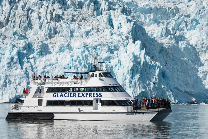 Full-Day Kenai Fjords National Park Cruise - Cruise Highlights