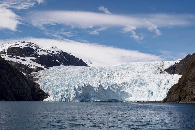 Full-Day Kenai Fjords National Park Cruise - Wildlife Spotting