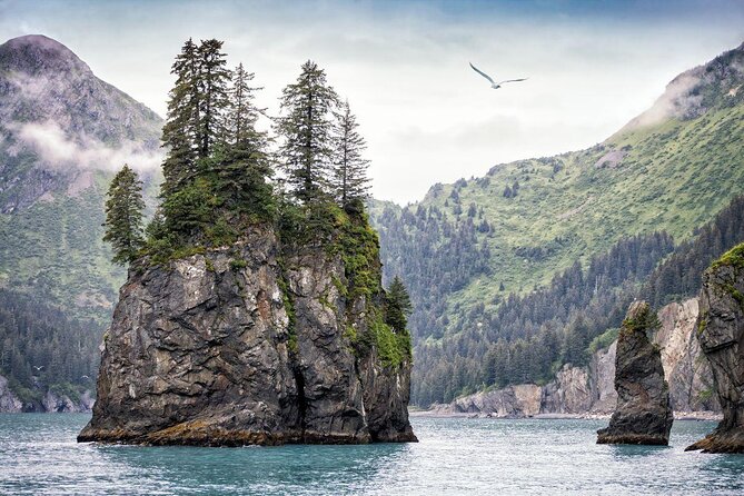 Full-Day Kenai Fjords National Park Cruise - Glacial Wonders