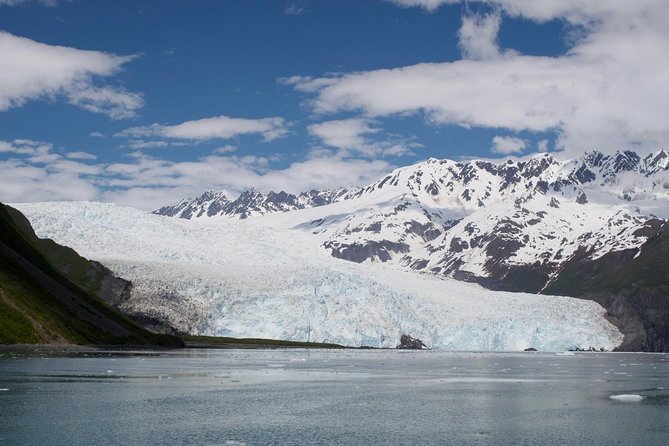 Full-Day Kenai Fjords National Park Cruise - Trip Details
