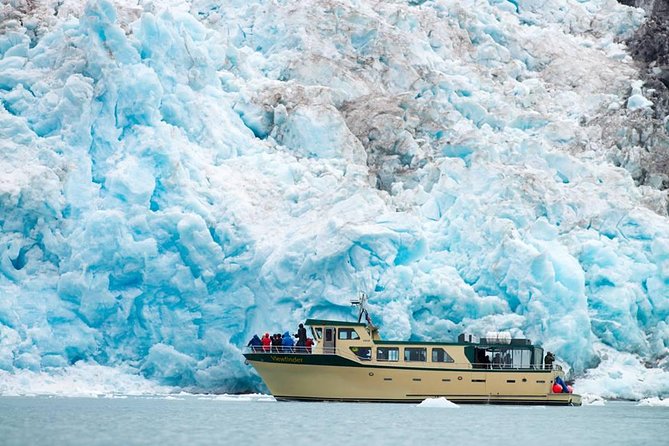 Full-Day Kenai Fjords National Park Northwestern Cruise - Benefits of Touring With Major Marine Tours
