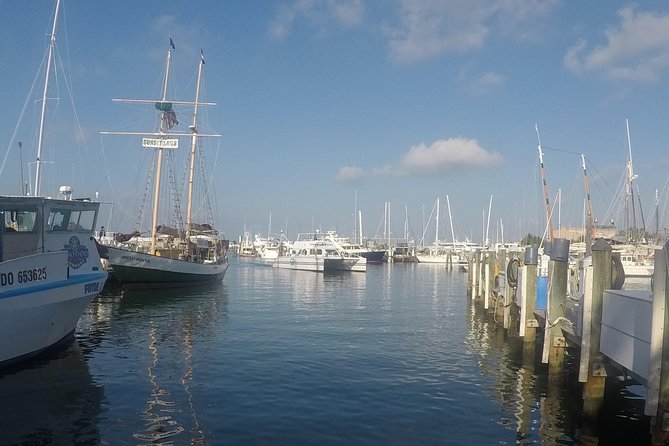 Full-Day Key West Tour and Coral Reef Snorkeling With Open Bar - Itinerary
