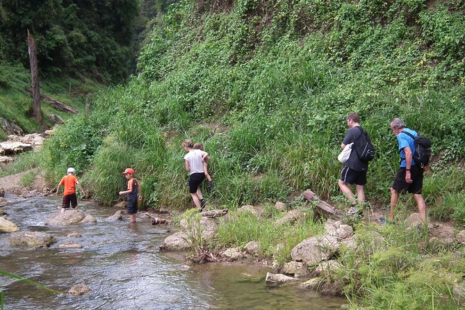 Full Day Khao Sok National Park Tour From Krabi With Bamboo Rafting & Lunch - Common Questions