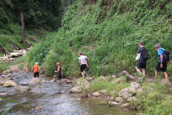 Full Day Khao Sok National Park Tour From Krabi With Bamboo Rafting & Lunch - Tour Highlights