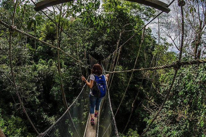 Full-Day Kinabalu Park and Poring Hot Spring Day Trip - Inclusions and Exclusions