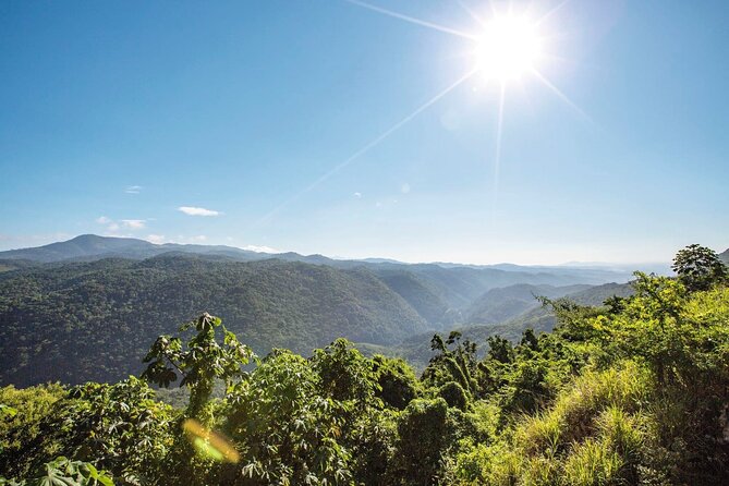 Full Day Kingston and Blue Mountains Group Tour - Tour Highlights
