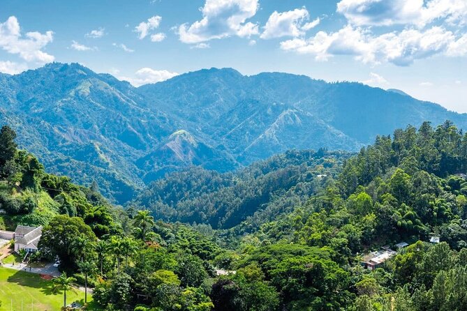 Full Day Kingston and Blue Mountains Group Tour - Itinerary Overview